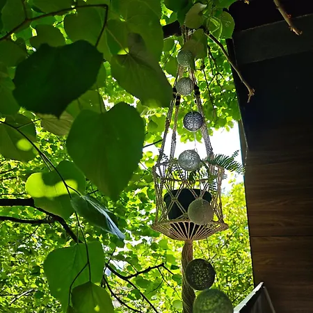 Cozy Nest Apartament *